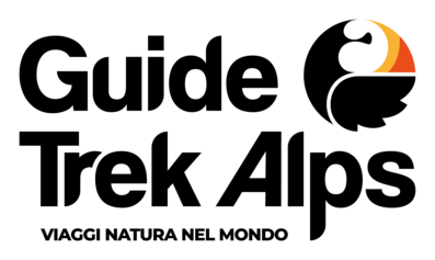 GTA-Logo sta...-base bianca.png